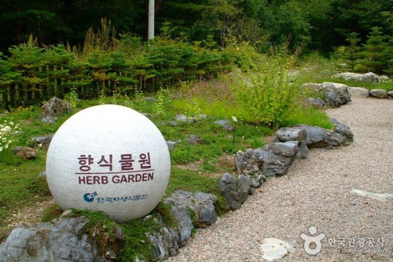 韩国自生植物园