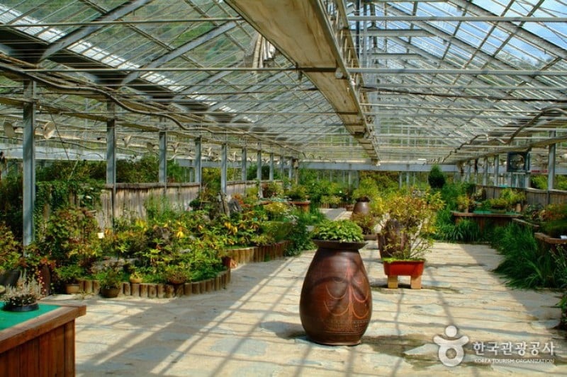 韩国自生植物园