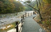 五色铸钱谷