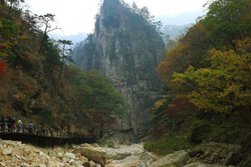 五色铸钱谷