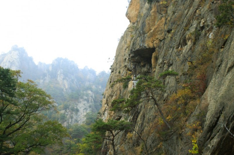 五色铸钱谷