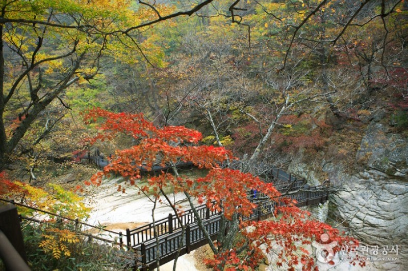 五色铸钱谷