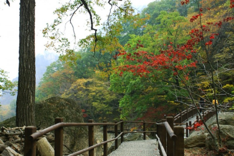 五色铸钱谷