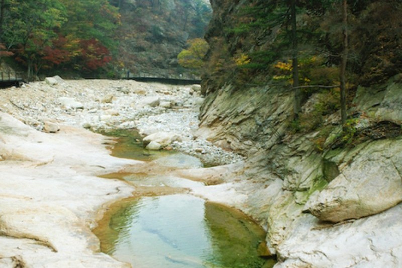 五色铸钱谷
