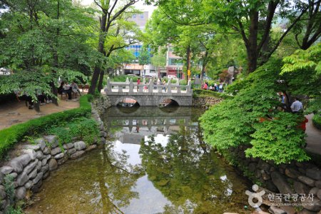 黄池莲塘황지연못
