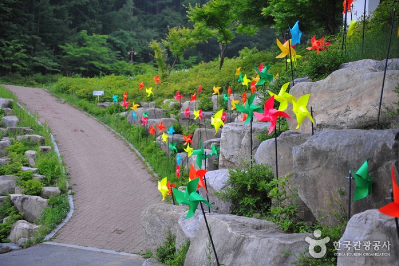 太白山道立公园