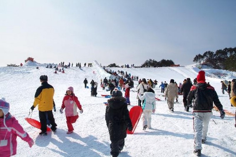 平昌义野地风之村庄평창 의야지 바람마을 (1/12)