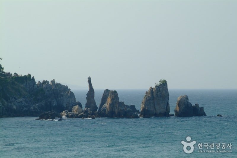 海歌词之地 (2/8)