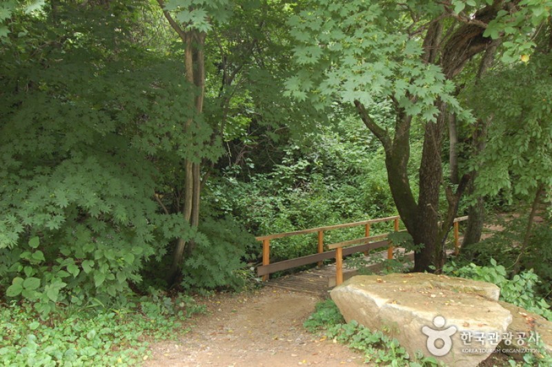 青太山自然休养林