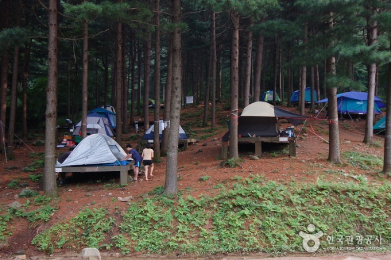 青太山自然休养林