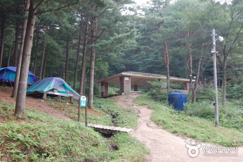 青太山自然休养林