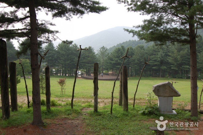 青太山自然休养林