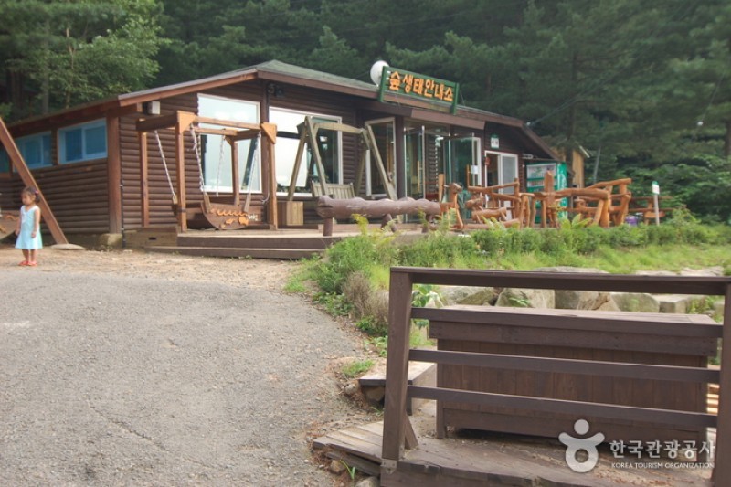 青太山自然休养林