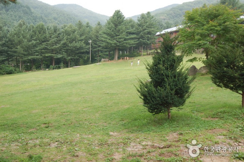青太山自然休养林