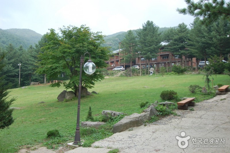 青太山自然休养林