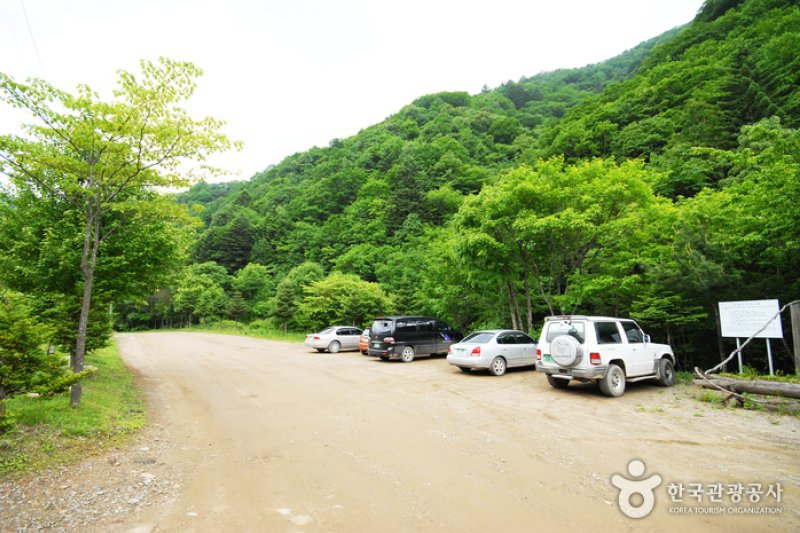 三峰自然休养林