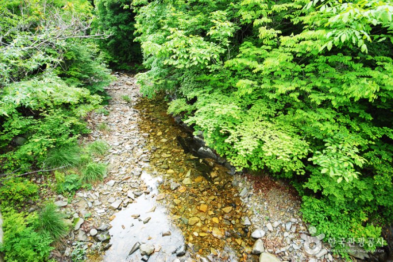 三峰自然休养林