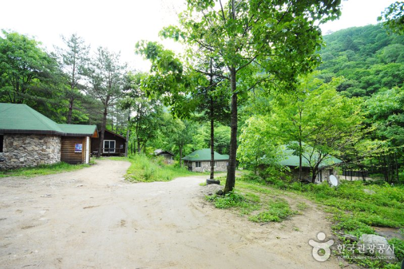 三峰自然休养林