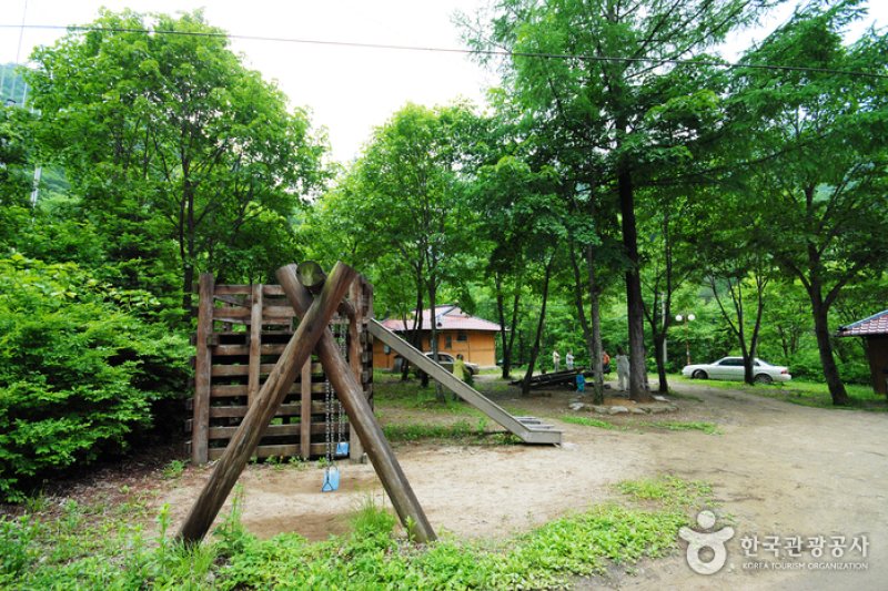 三峰自然休养林