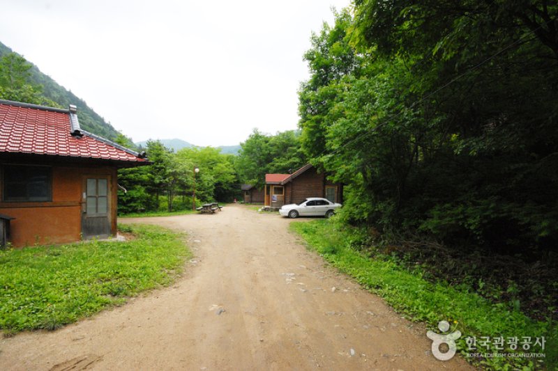 三峰自然休养林