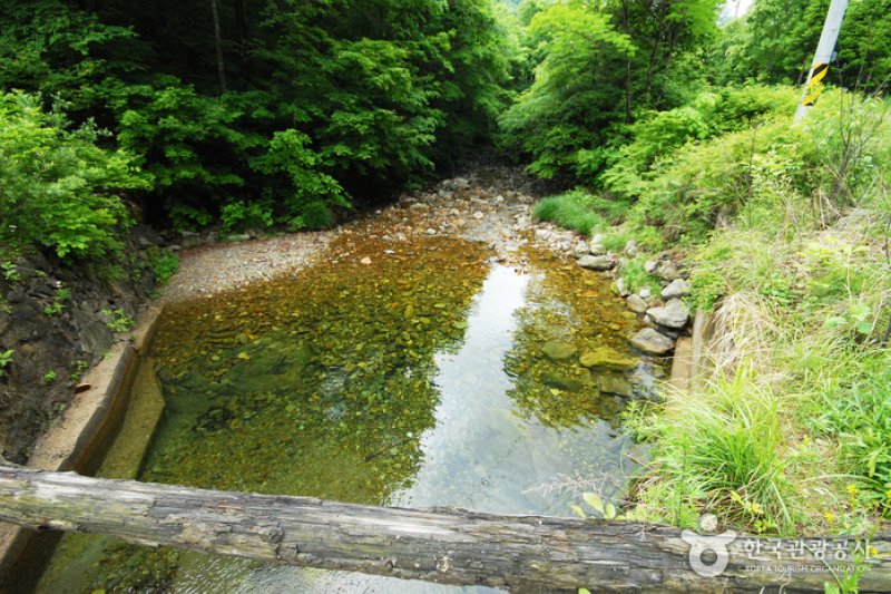 三峰自然休养林