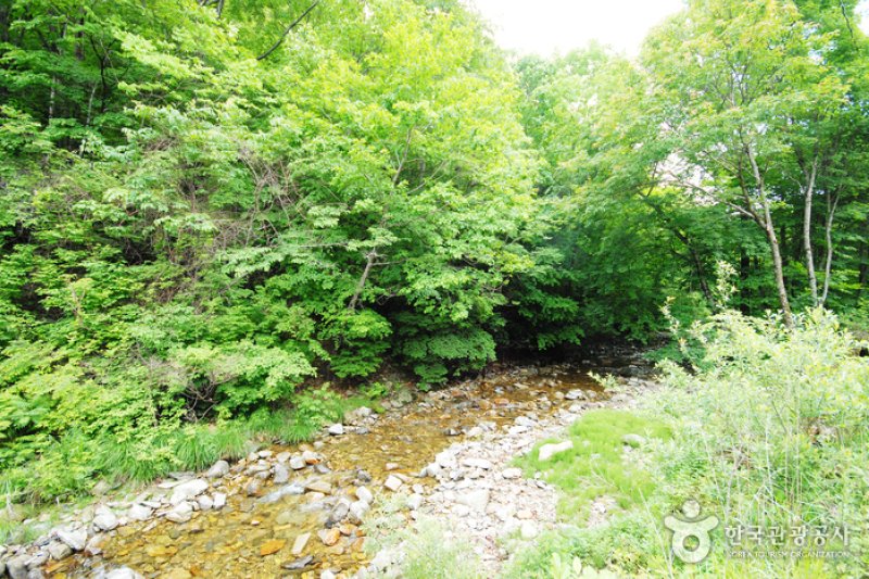 三峰自然休养林