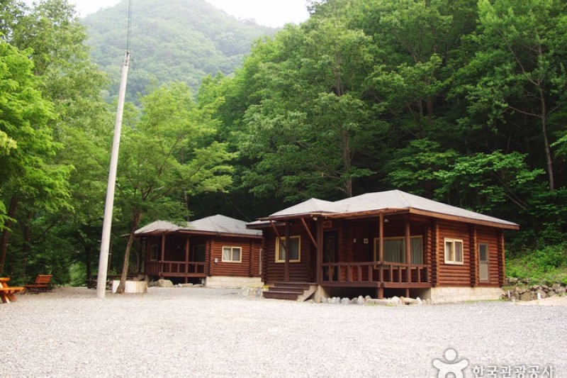 米川谷自然休养林