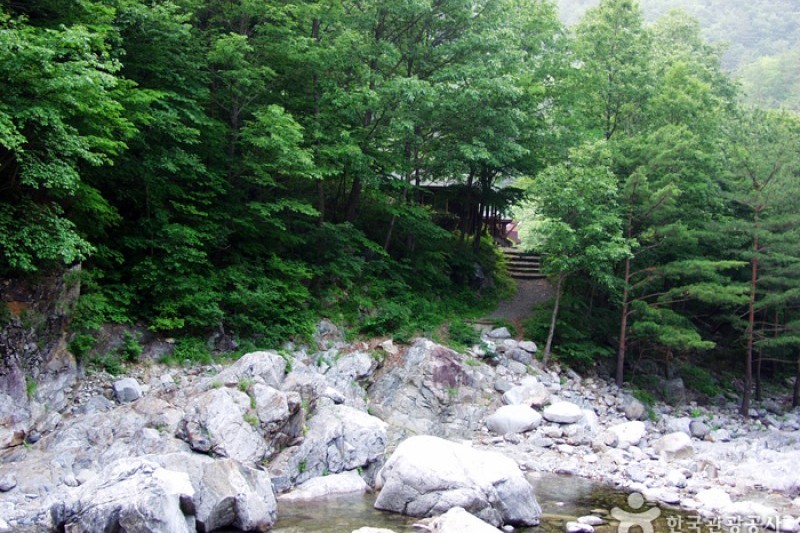 米川谷自然休养林