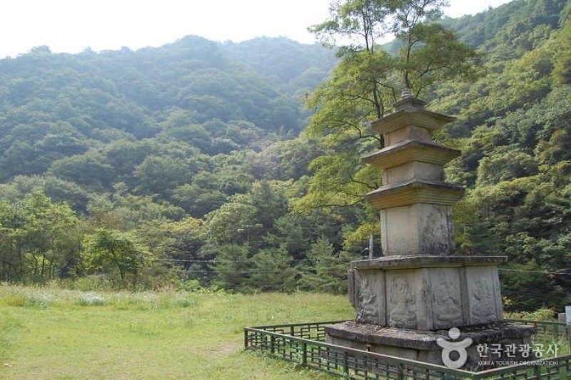 米川谷自然休养林
