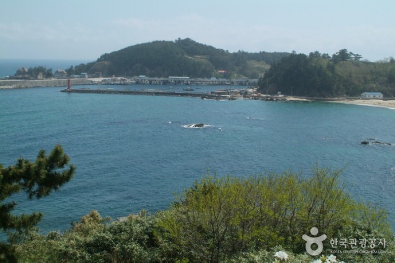庄湖港 (4/5)