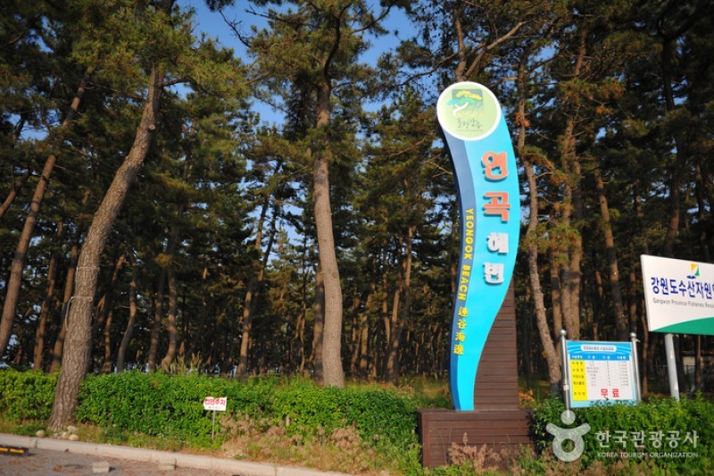 连谷海边-连谷海水浴场 (4/11)