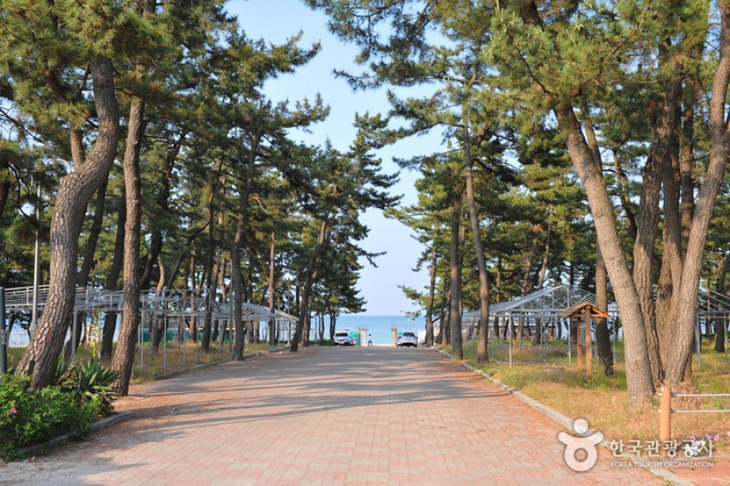 连谷海边-连谷海水浴场 (5/11)