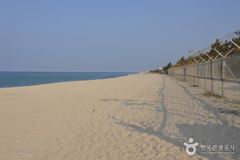 连谷海边-连谷海水浴场 (7/11)