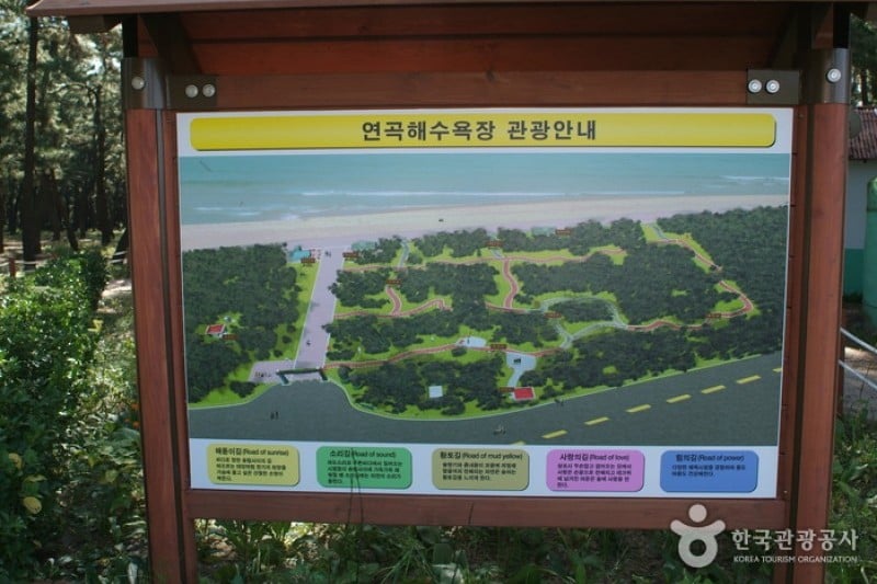 连谷海边-连谷海水浴场 (11/11)