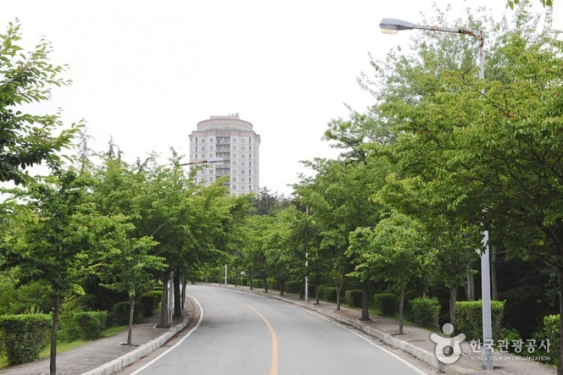 韩一合纤永郞虎里度假村