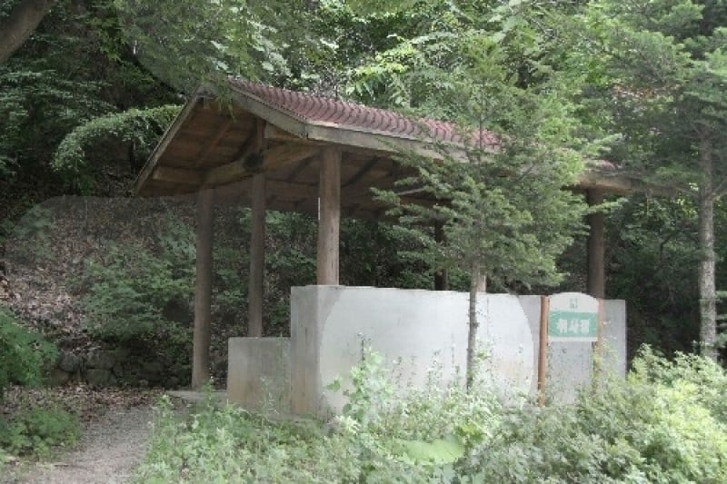 Jipdarigol自然休养林