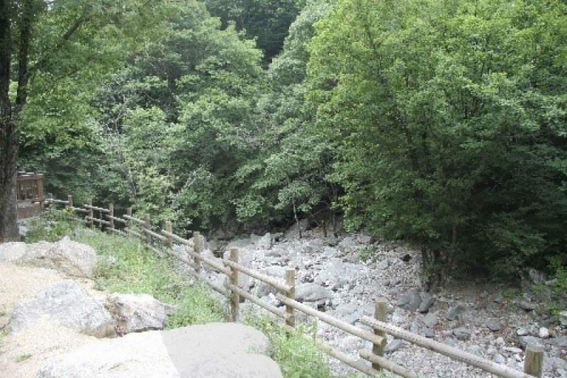 Jipdarigol自然休养林