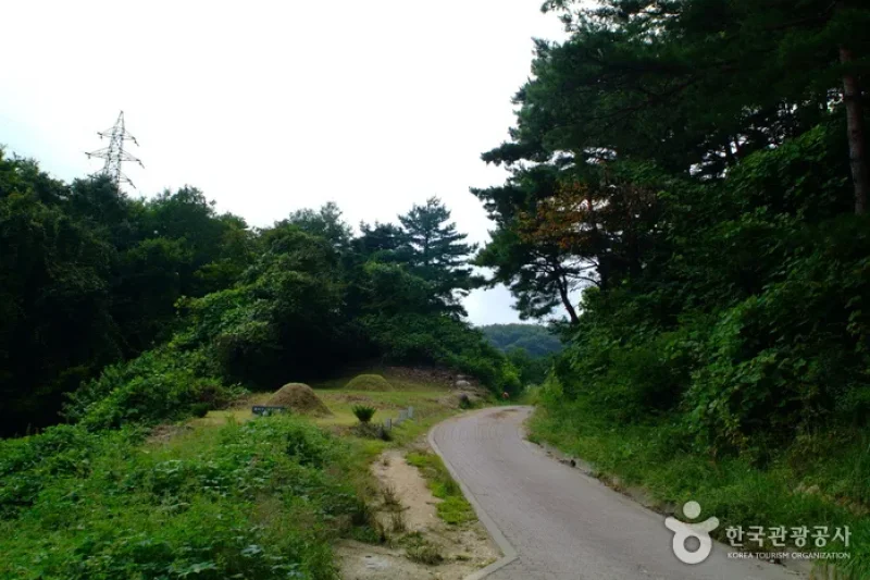 大关岭古道