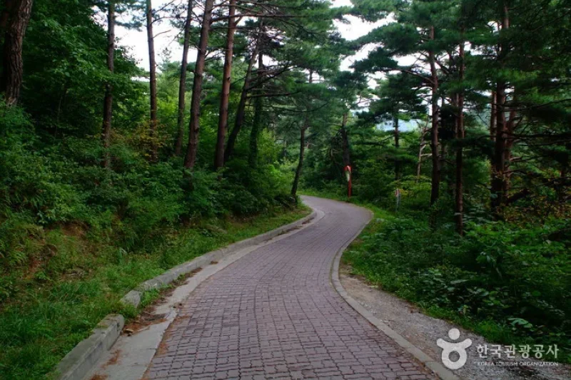 大关岭古道