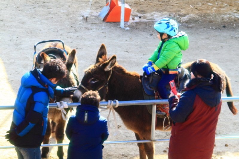 洪川江冬季庆典