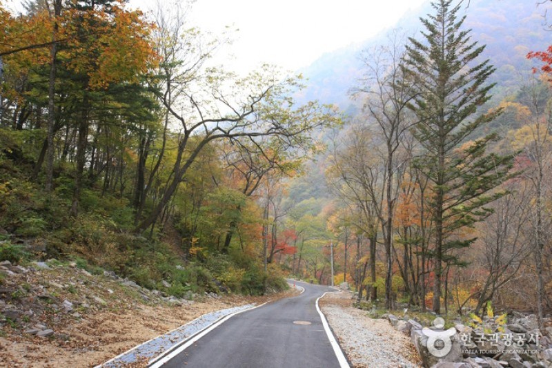 国立头陀山自然休养林국립 두타산자연휴양림