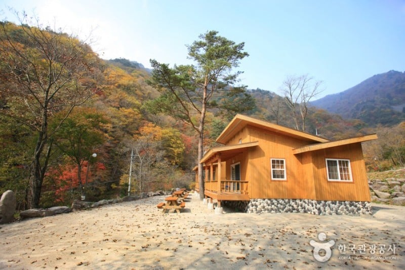 国立头陀山自然休养林국립 두타산자연휴양림