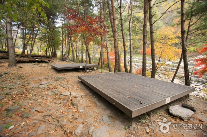 国立头陀山自然休养林국립 두타산자연휴양림