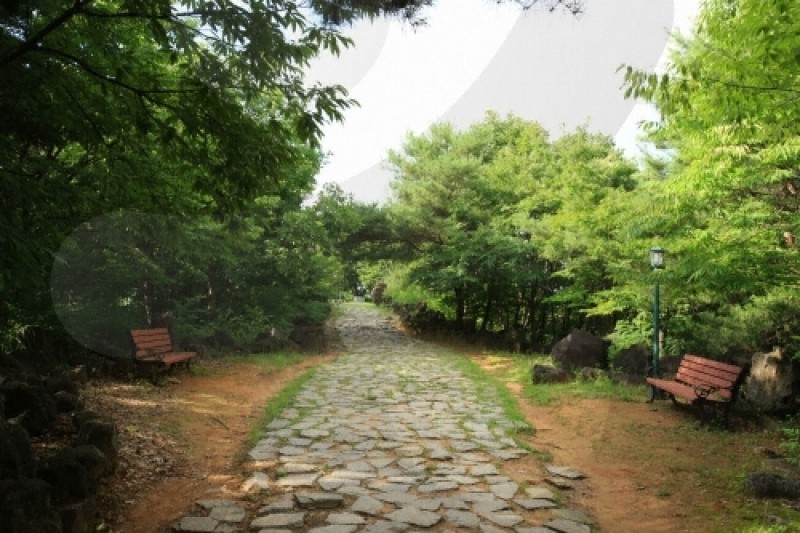 白马高地战争遗址