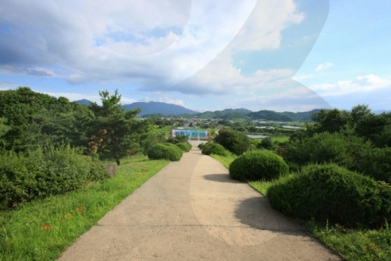 白马高地战争遗址