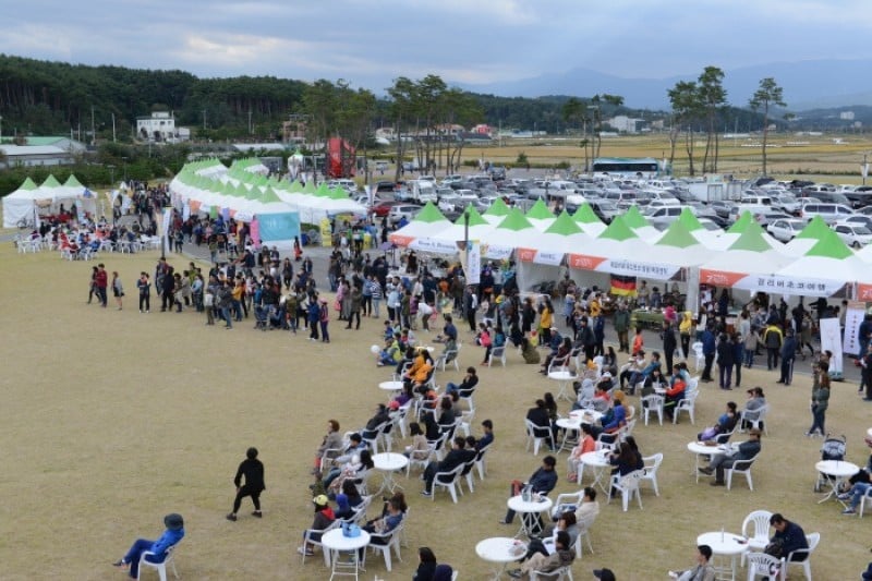 江陵咖啡庆典강릉 커피축제