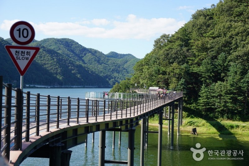 衣岩湖sky walk (1/7)