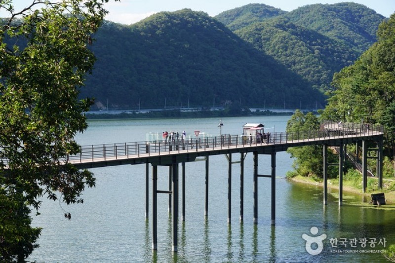 衣岩湖sky walk (3/7)