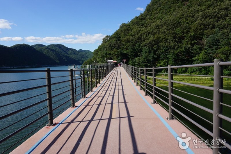 衣岩湖sky walk (4/7)
