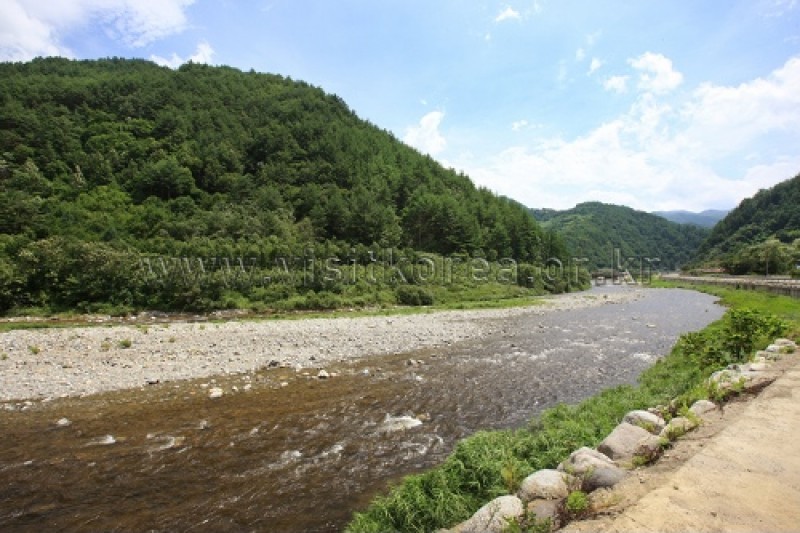 三陟德丰溪谷村삼척 덕풍계곡마을
